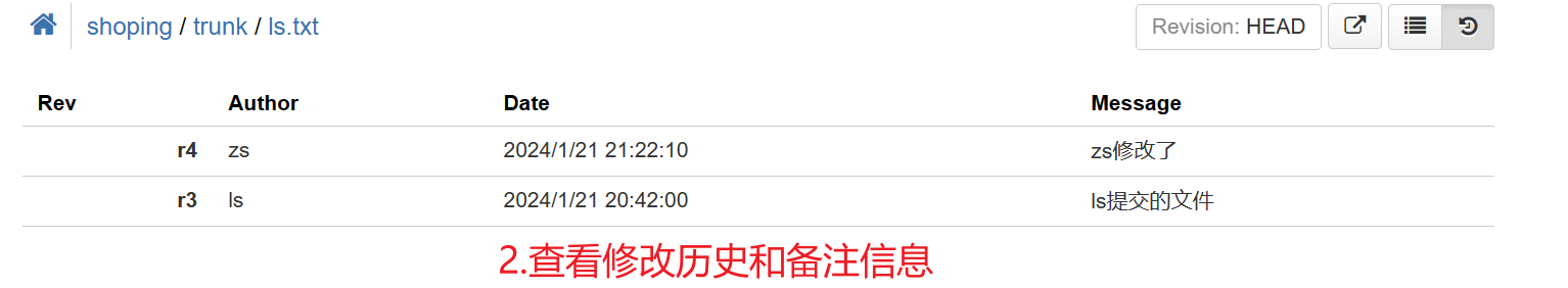 image-20240121212609696