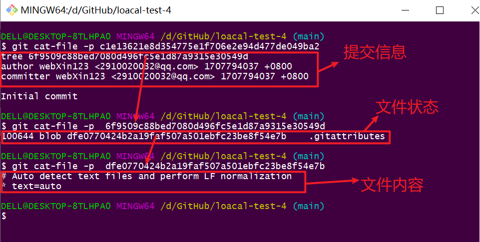 image-20240213113120489