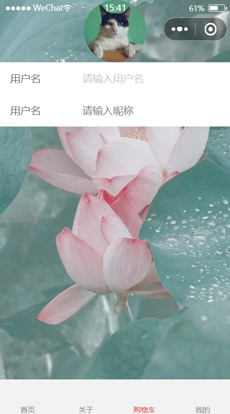 image-20241015154238860