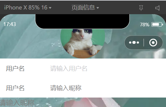 image-20241015174406420